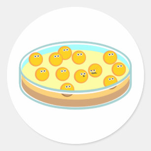 Petri Dish MRSA Classic Round Sticker