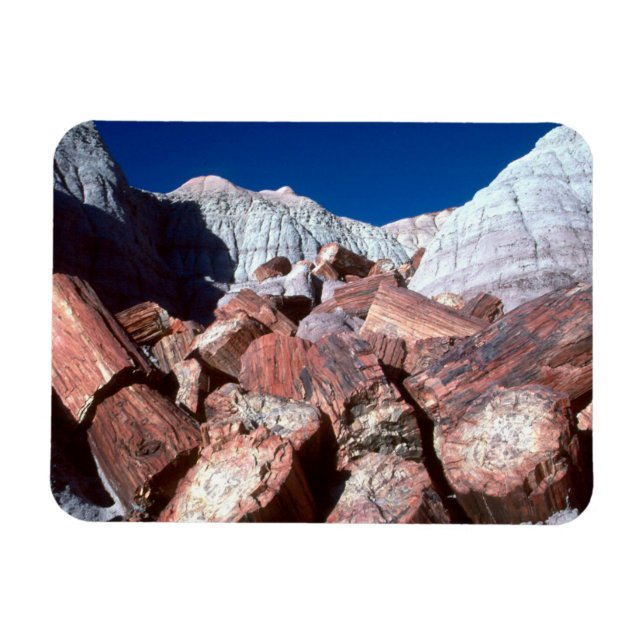 Petriefied Wood, Petrified Forest NP, Arizona Magnet (Horizontal)