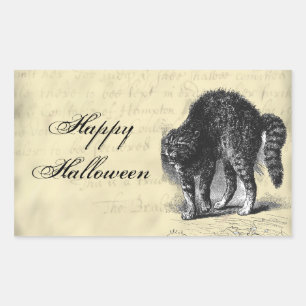 Petrified Cat Halloween Rectangular Sticker