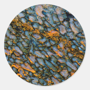 Petrified Dinosaur Bone Classic Round Sticker