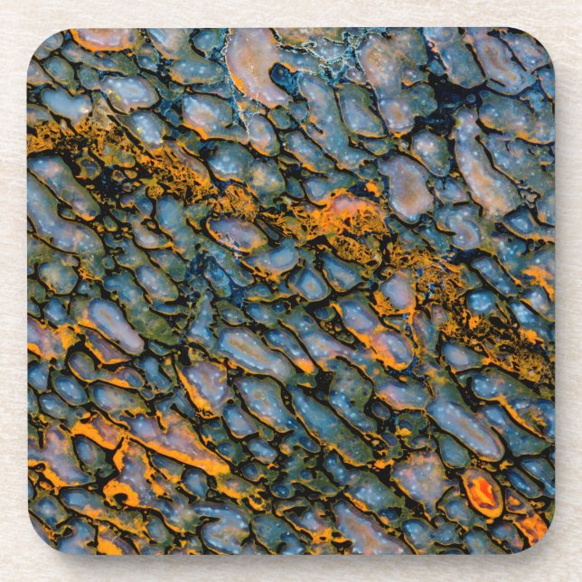Petrified Dinosaur Bone Coaster (Front)