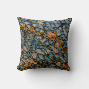 Petrified Dinosaur Bone Cushion