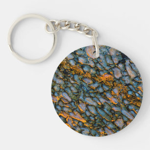 Petrified Dinosaur Bone Key Ring