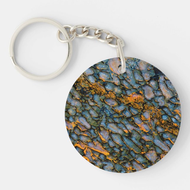 Petrified Dinosaur Bone Key Ring (Front)