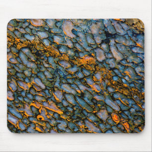 Petrified Dinosaur Bone Mouse Mat