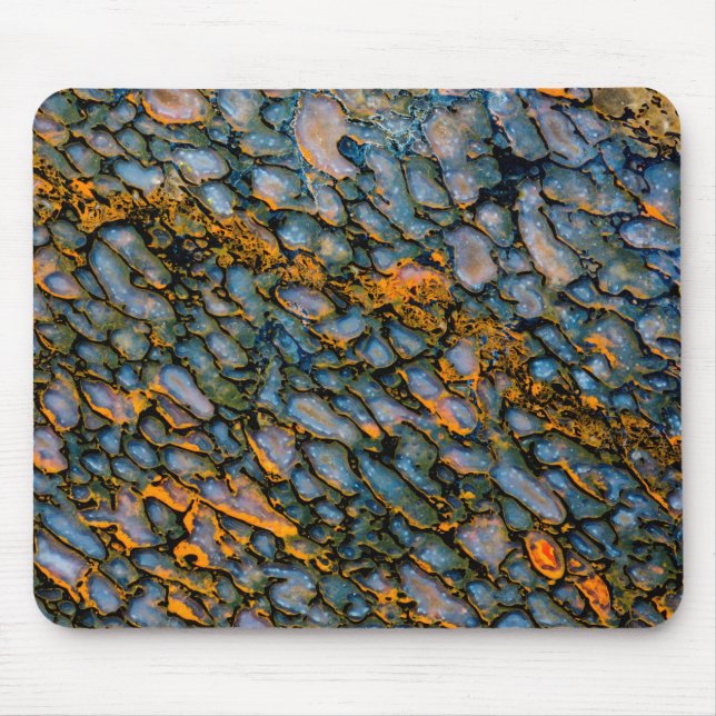Petrified Dinosaur Bone Mouse Mat (Front)