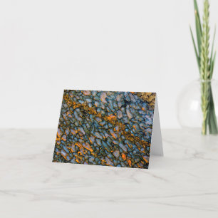 Petrified Dinosaur Bone Note Card
