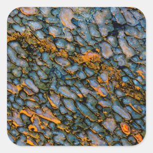 Petrified Dinosaur Bone Square Sticker