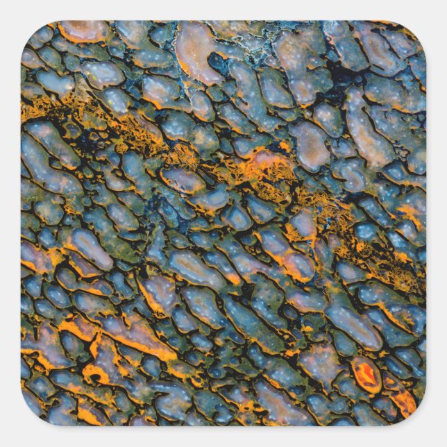 Petrified Dinosaur Bone Square Sticker (Front)