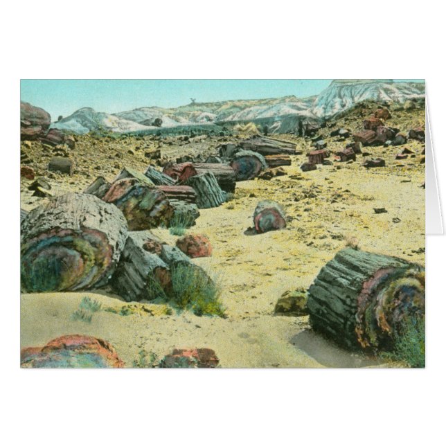 Petrified Forest (Front Horizontal)