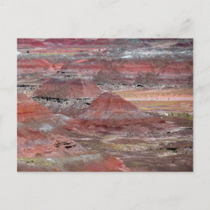 Petrified Forest 2 Postcard