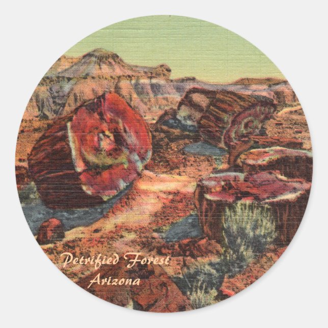 Petrified Forest Arizona Classic Round Sticker (Front)