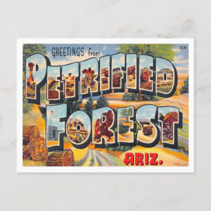 Petrified Forest, Arizona Vintage Big Letters Postcard