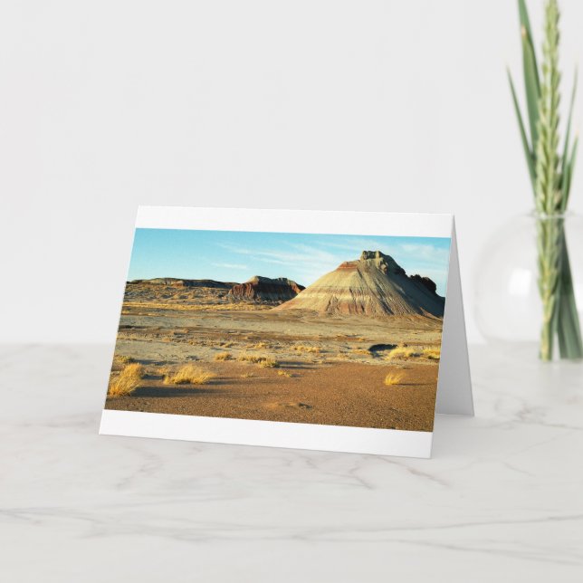 Petrified Forest Desert Arizona Landscape Photo Card (Front)