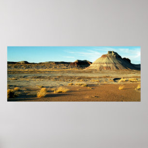 Petrified Forest Desert Arizona Landscape Photo Poster
