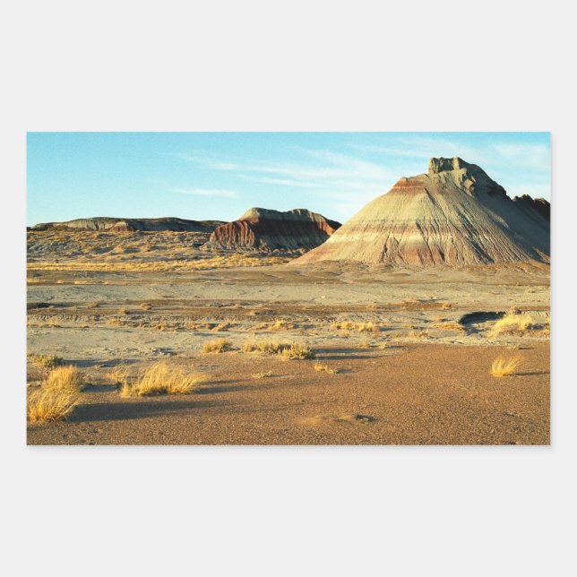 Petrified Forest Desert Arizona Landscape Photo Rectangular Sticker (Front)