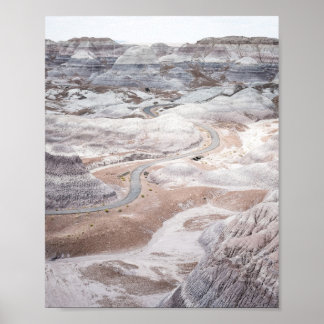 Petrified Forest, Desolate Landscape Photo Poster