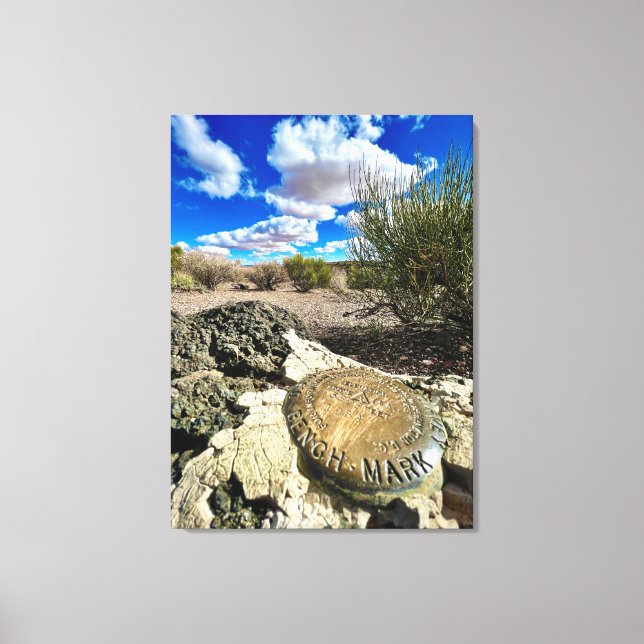 Petrified Forest Mark Canvas Print (Front)