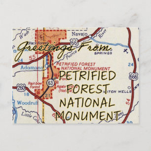 Petrified Forest National Mounument Vintage Map Postcard