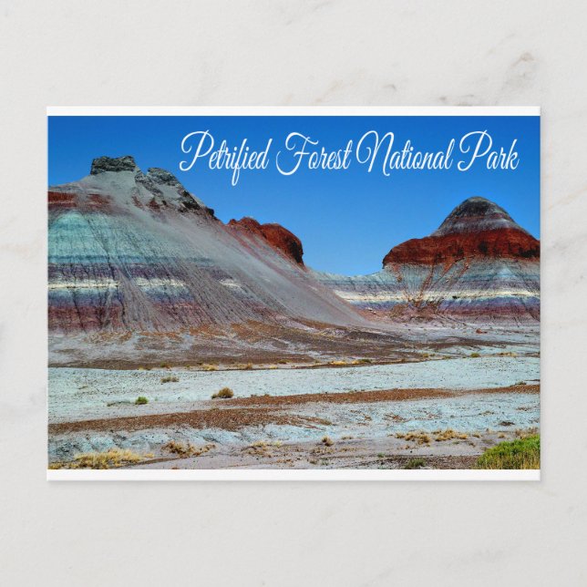 Petrified Forest National Park, Arizona  Postcard (Front)