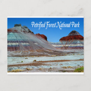 Petrified Forest National Park, Arizona  Postcard