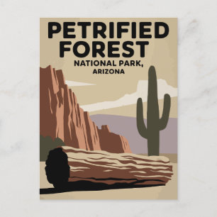 Petrified Forest National Park Arizona Postcard
