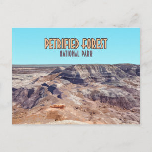 Petrified Forest National Park Arizona Vintage Postcard