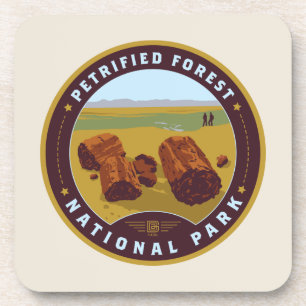 Petrified Forest National Park Coaster