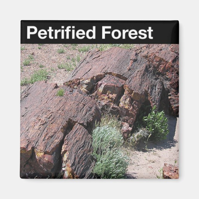 Petrified Forest National Park Magnet (Front)