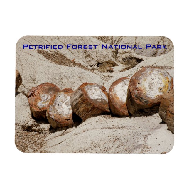 Petrified Forest National Park Magnet (Horizontal)