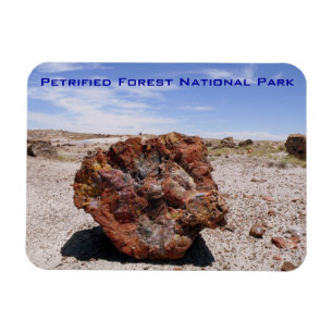 Petrified Forest National Park Magnet