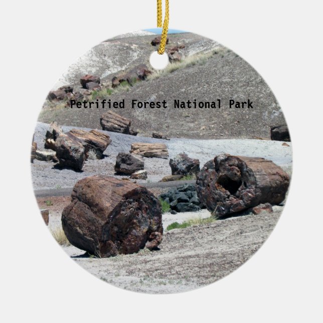 Petrified Forest National Park ornament (Front)