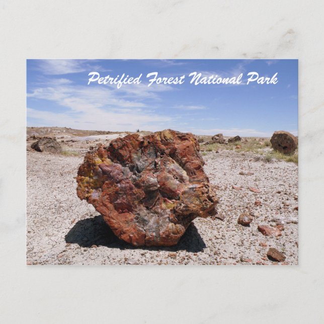 Petrified Forest National Park Postcard (Front)