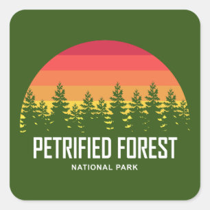 Petrified Forest National Park Square Sticker