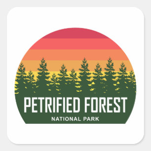 Petrified Forest National Park Square Sticker