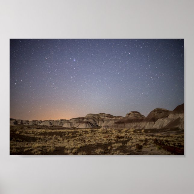 Petrified Forest Night Sky Poster (Front)