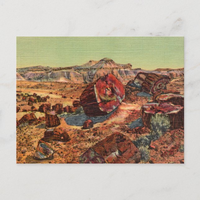Petrified Forest Vintage Postcard (Front)