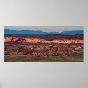 Petrified Forest Vista Poster