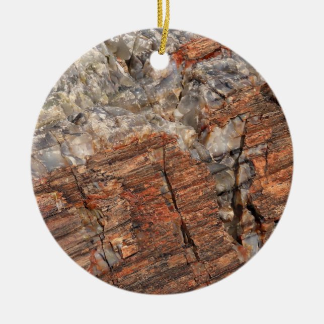 Petrified Log Closeup I Ceramic Tree Decoration (Front)