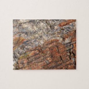 Petrified Log Closeup I Jigsaw Puzzle