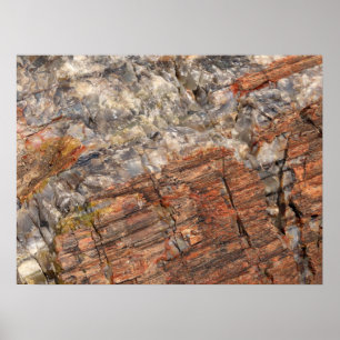 Petrified Log Closeup I Poster