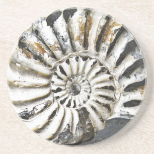 Petrified Nautical Fossil Beach House Coaster