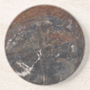 Petrified wood 03 coaster