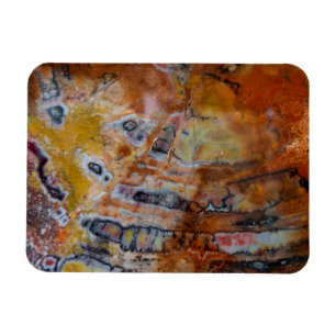 Petrified Wood Brown Magnet