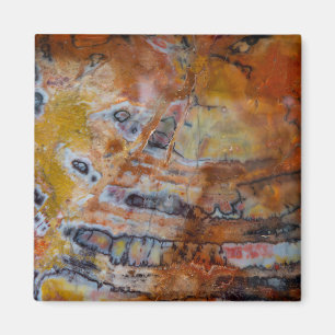 Petrified Wood Brown Magnet