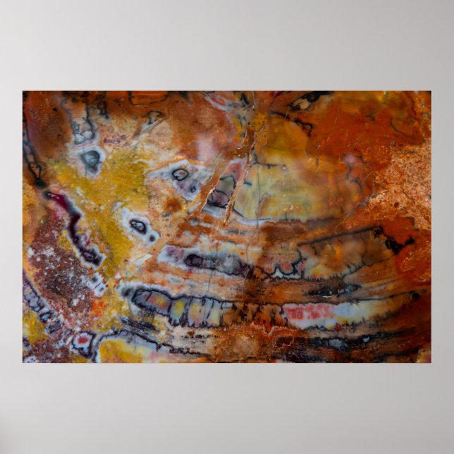 Petrified Wood Brown Poster (Front)