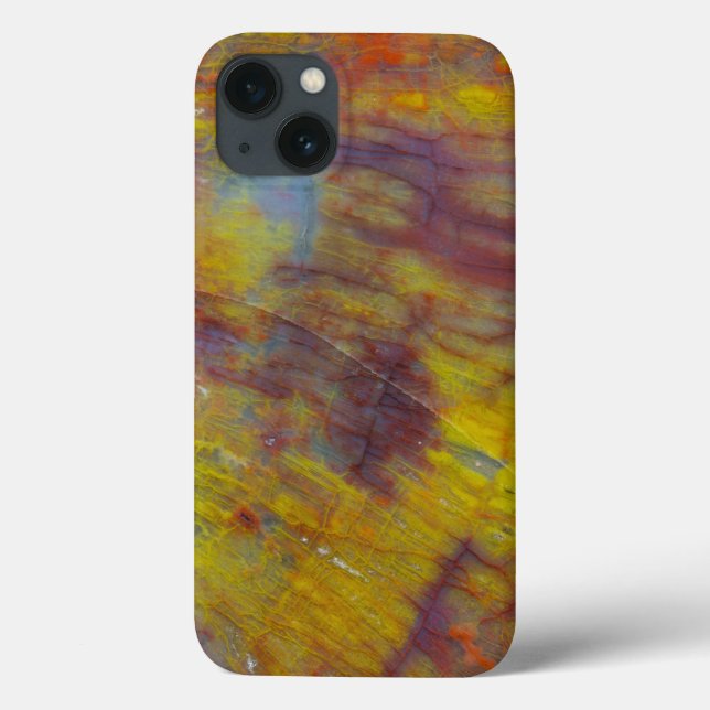Petrified Wood Case-Mate iPhone Case (Back)