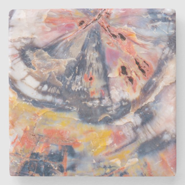 Petrified wood detail, Arizona Stone Coaster (Front)