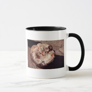 Petrified Wood Log with Shadows Arizona Photo Mug
