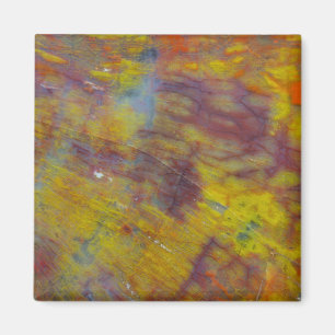 Petrified Wood Magnet